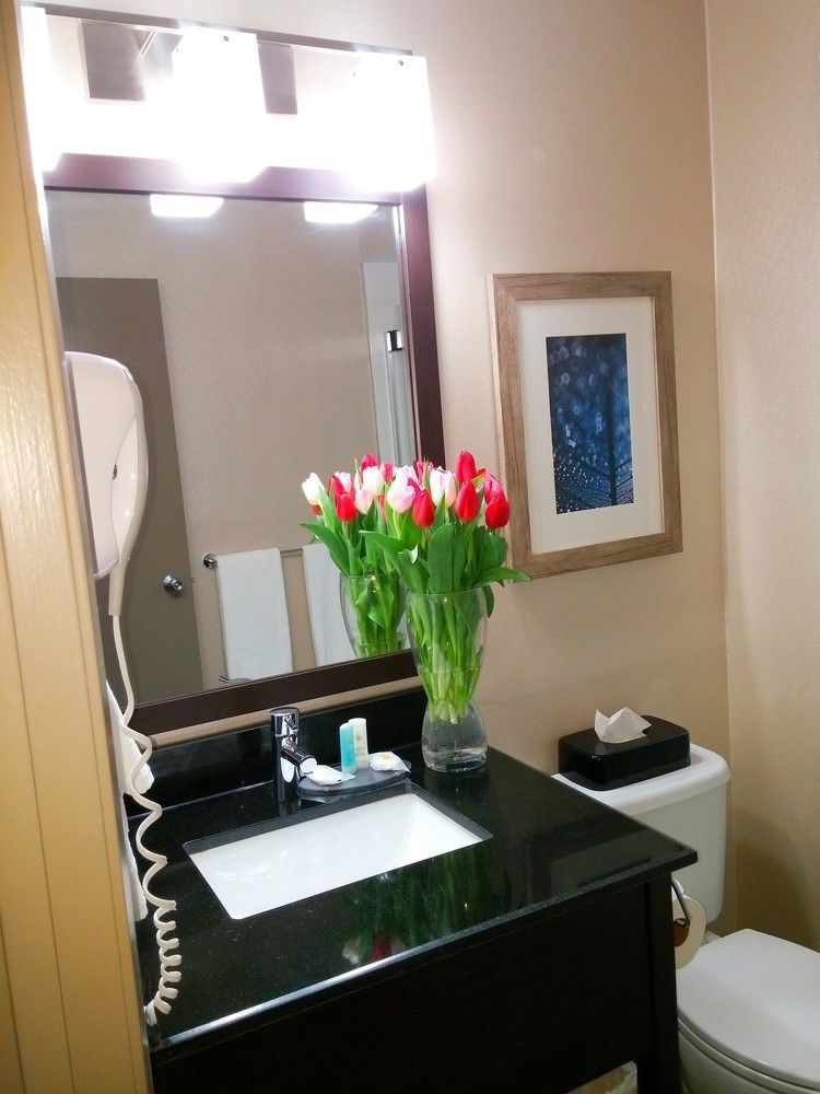 Mini-hôtel Comfort Montreal Aeroport 3*